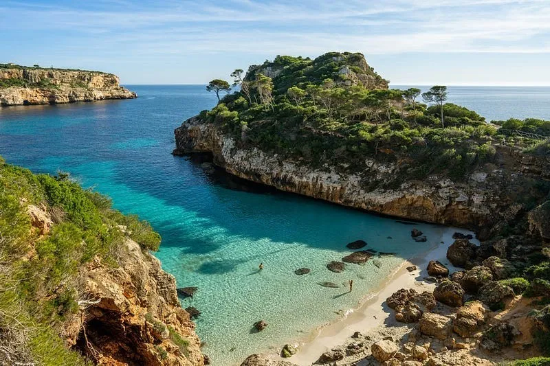 A turquoise cove in Mallorca between pale limestone cliffs and pine trees, with a small sandy beach.
